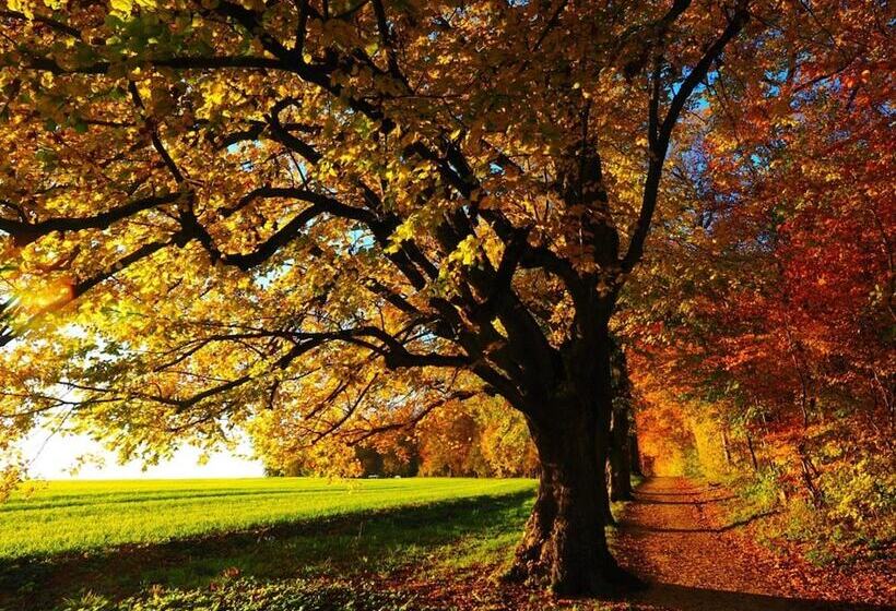 غرفة ديلوكس, The Inn At Stony Creek