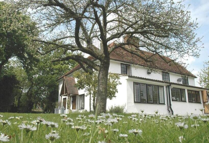 スタンダード４人部屋, The White House