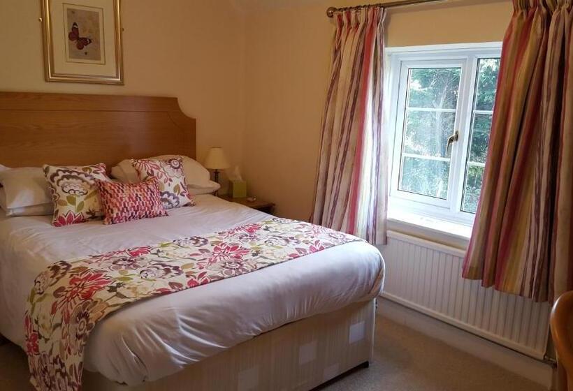 标准间, Apple Tree