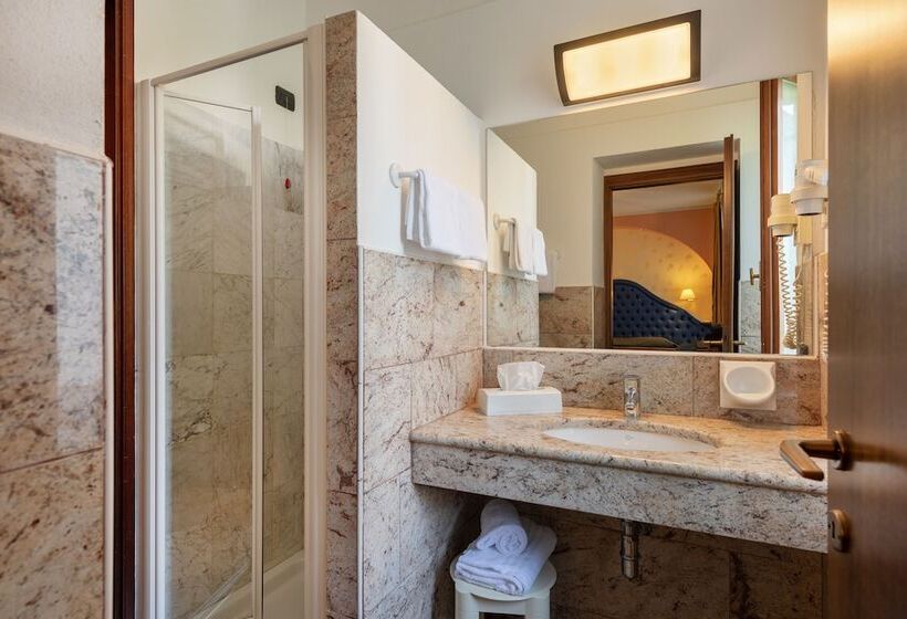 Superior room with lake view, Du Parc