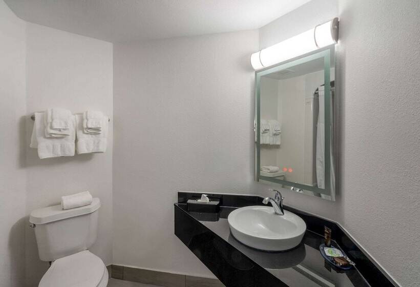Номер Deluxe Адаптированный для Инвалидов, Wingate By Wyndham Horn Lake Southaven
