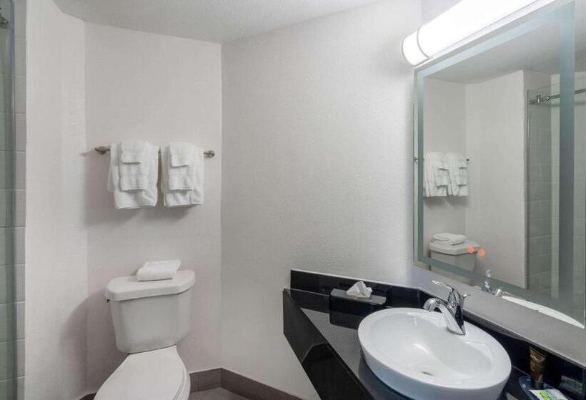 חדר סטנדרט שתי מיטות זוגיות, Wingate By Wyndham Horn Lake Southaven