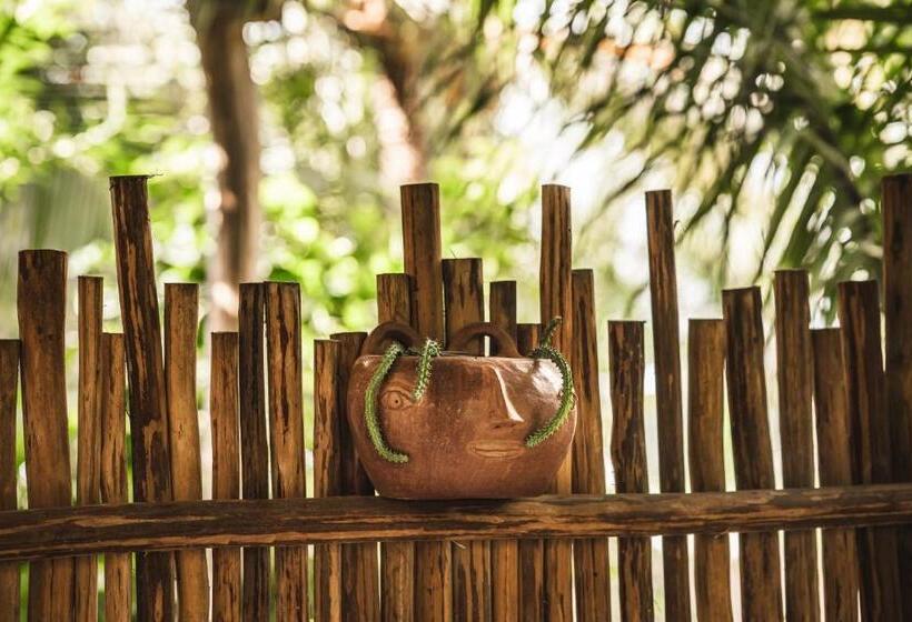 جناح مزود بتراس, Casa Chula Hotel Boutique Frente Al Mar