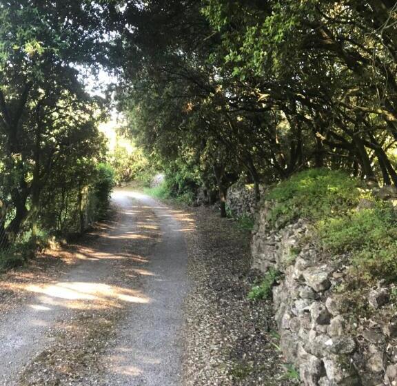 Номер Стандарт Вид на Сад, Chambre D Hôte à La Maison Du Petit Bois 4 étoiles