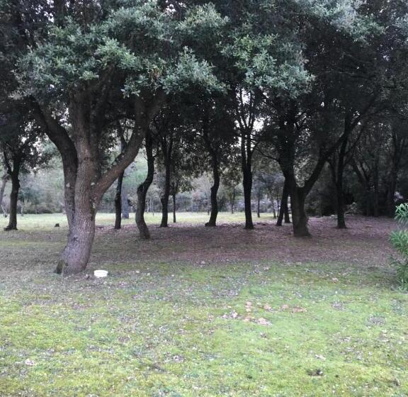 Номер Стандарт Вид на Сад, Chambre D Hôte à La Maison Du Petit Bois 4 étoiles