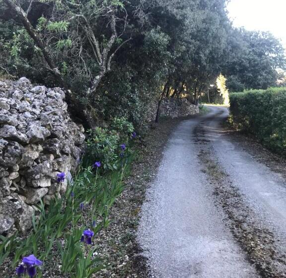 Номер Стандарт Вид на Сад, Chambre D Hôte à La Maison Du Petit Bois 4 étoiles