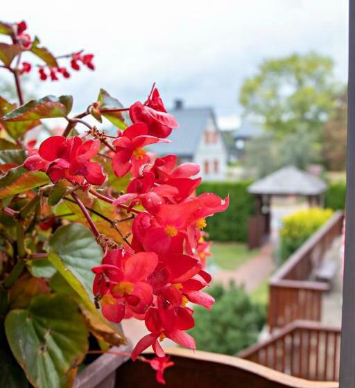 Номер Стандарт, Agroturystyka U Jarka