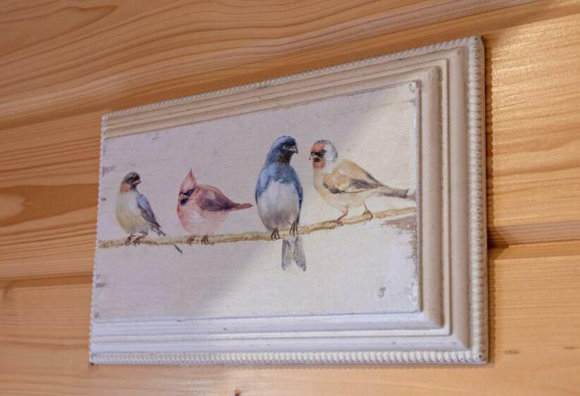 Номер Стандарт, Agroturystyka U Jarka