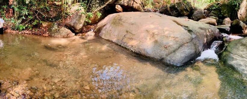 マウンテンビューファミリールーム, Mountain View