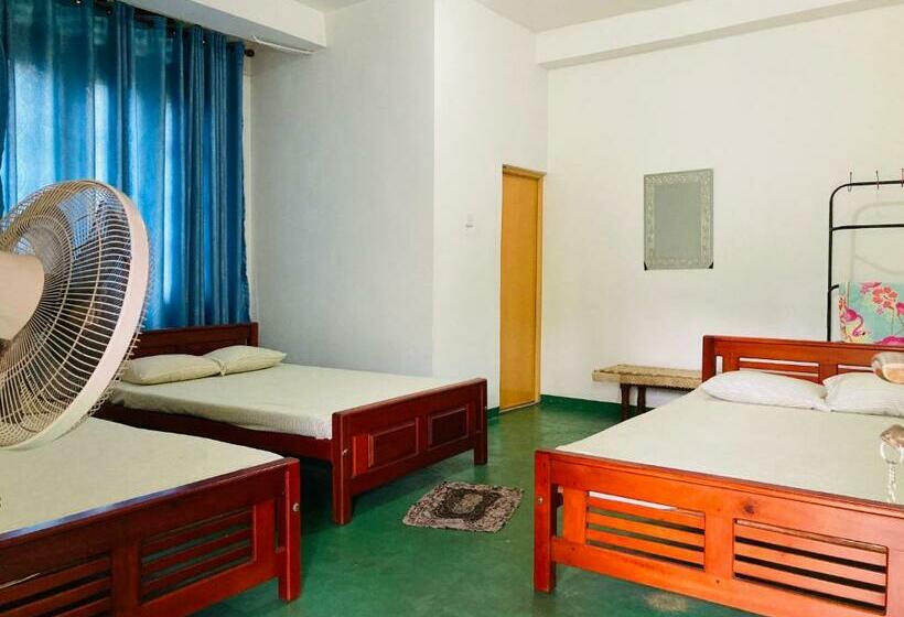 マウンテンビューファミリールーム, Mountain View