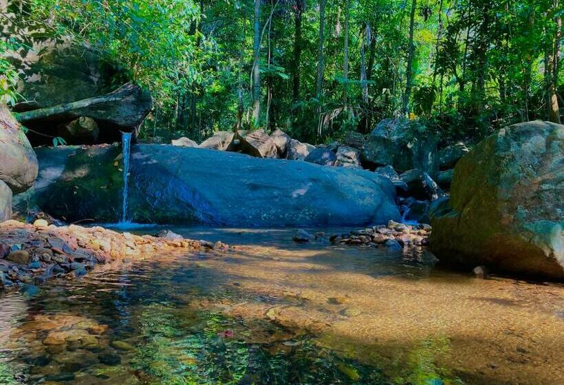 マウンテンビューファミリールーム, Mountain View