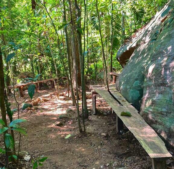 マウンテンビューファミリールーム, Mountain View