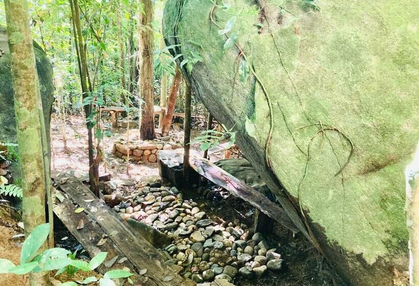 マウンテンビューファミリールーム, Mountain View