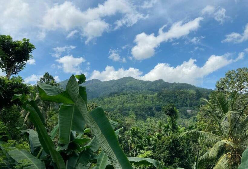 マウンテンビューファミリールーム, Mountain View