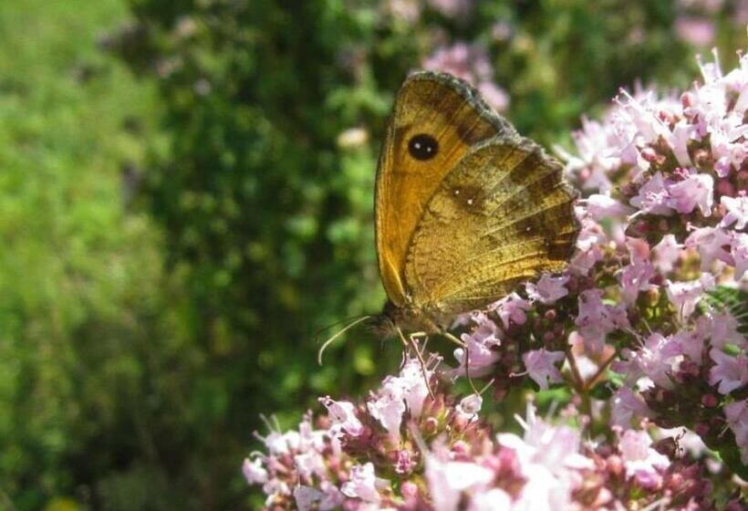 适合残疾人使用的标准间, Chambres D Hôtes Le Peyroux