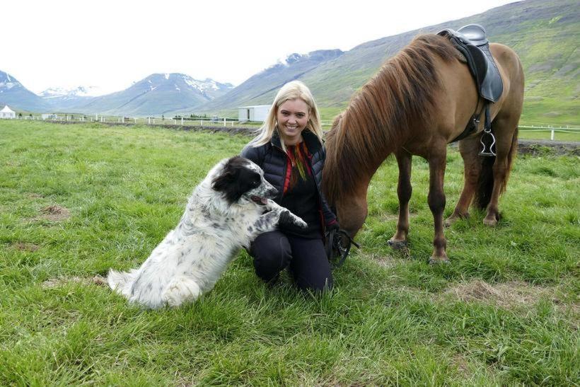 اتاق استاندارد با چشمانداز کوهستان, Flugumýri 2