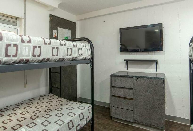 Economy Quadruple Room, Unico