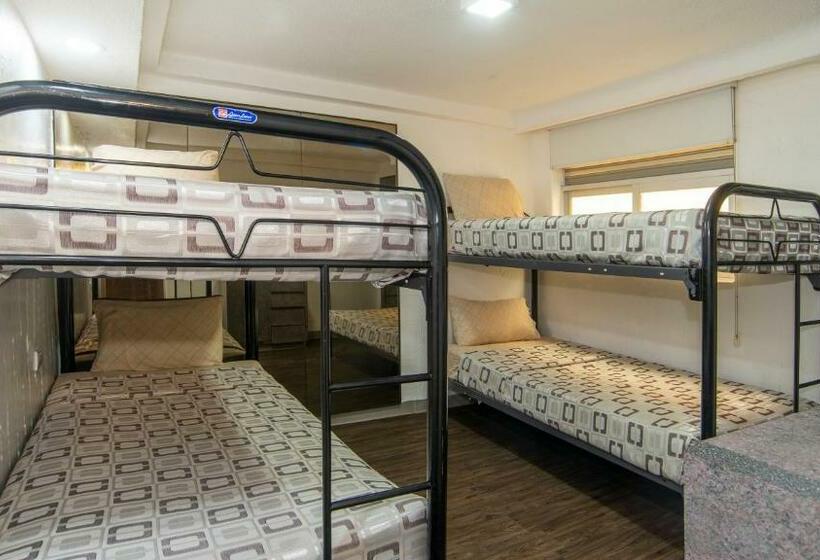 Economy Quadruple Room, Unico