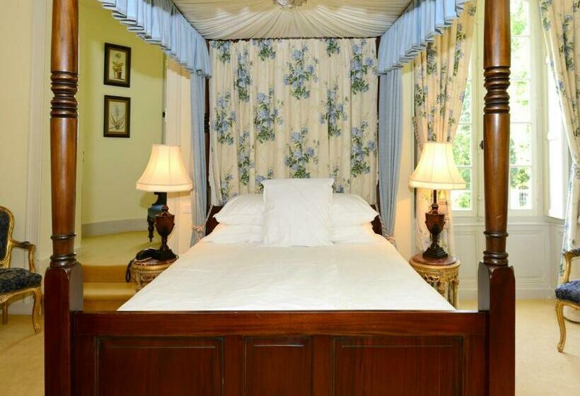 סוויטת ג'וניור, Chateau Le Mas De Montet