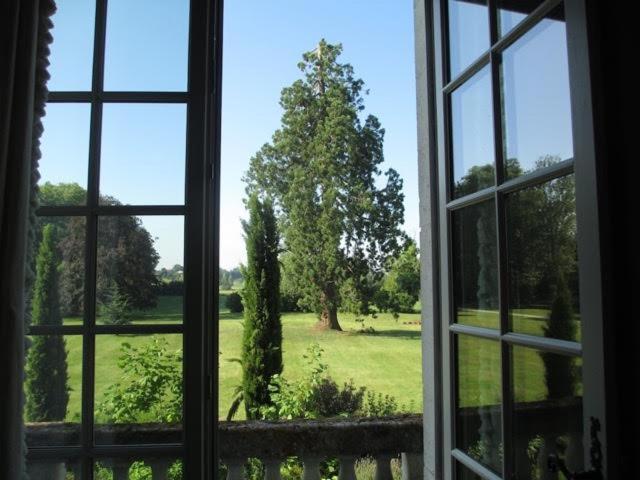 סטודיו סופריור, Chateau Le Mas De Montet