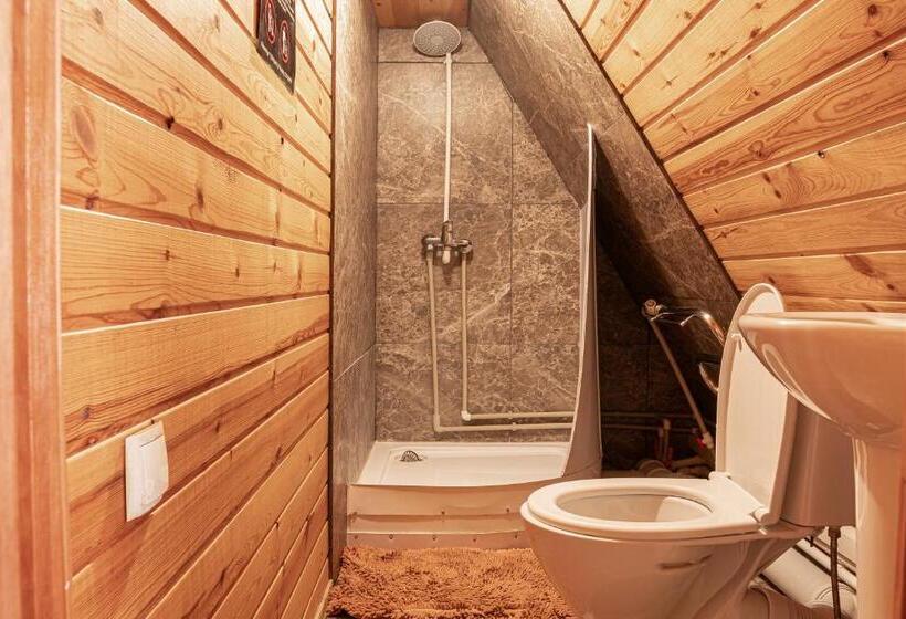 اتاق عادی, Borovoe Country Club