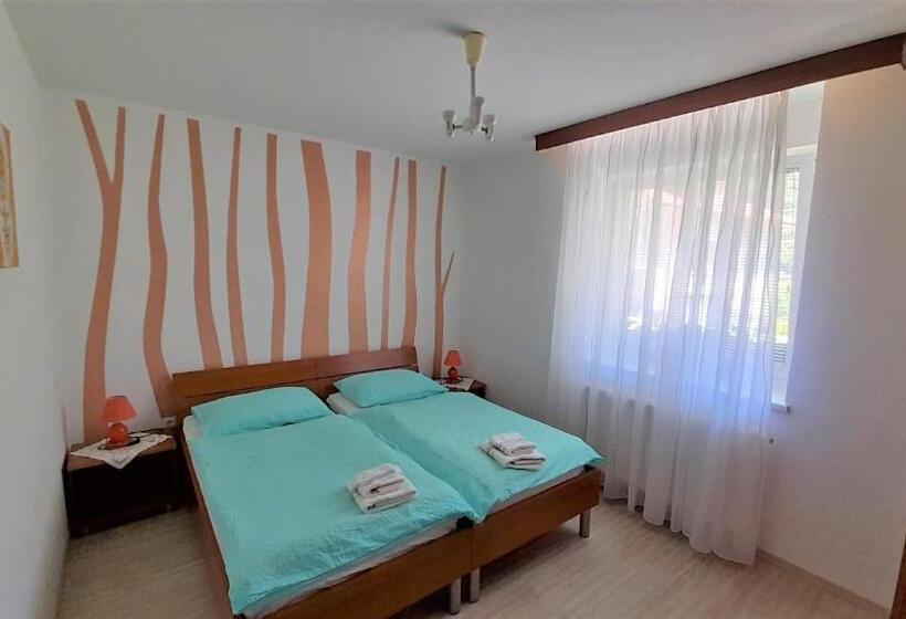 Standard room with outdoor bath, Guesthouse Sobe Silva