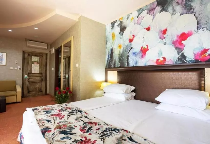 اتاق سوپریور با بالکن, Balneo Complex & Spa Aquatonik