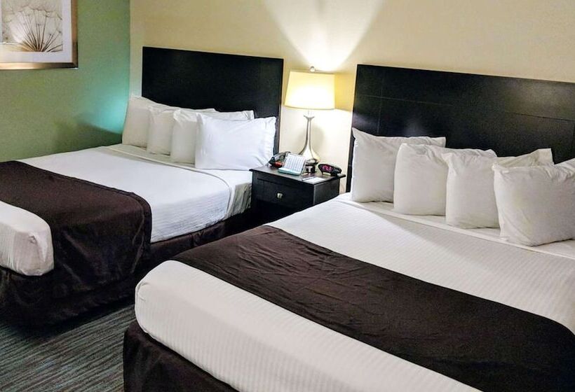 غرفه قياسيه سريرين مزدوجين, Francis