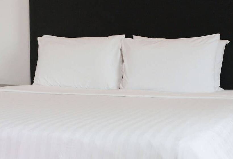 غرفه قياسيه سريرين مزدوجين, Francis