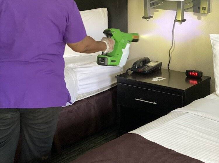 غرفه قياسيه سريرين مزدوجين, Francis