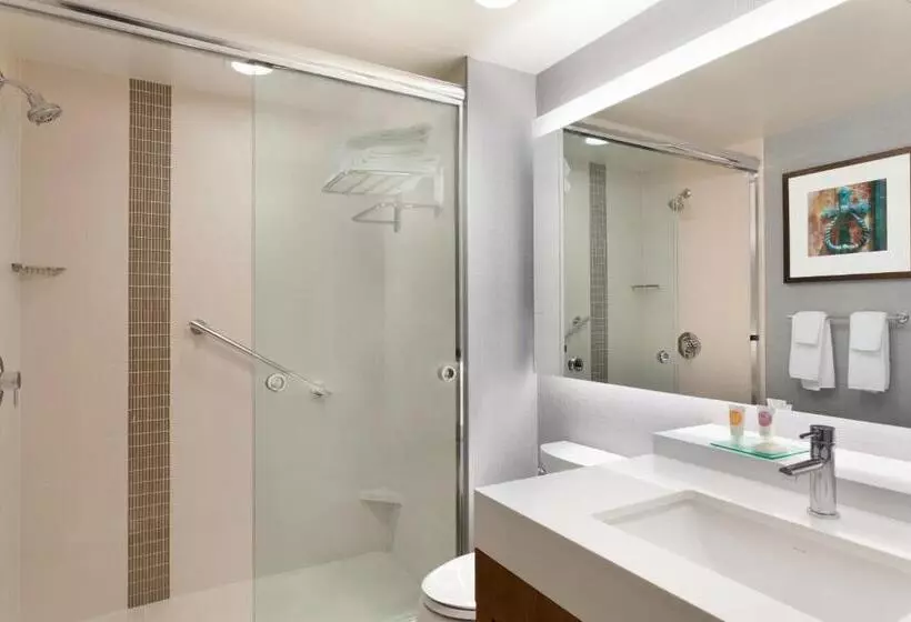 اتاق استاندارد با تخت بزرگ, Hyatt Place Buffalo / Amherst, Ny