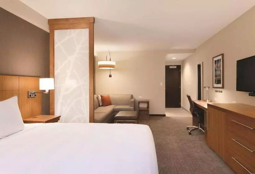 اتاق استاندارد با تخت بزرگ, Hyatt Place Buffalo / Amherst, Ny