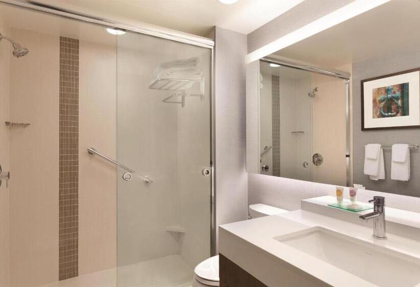 스탠다드 룸 킹사이즈 침대, Hyatt Place Buffalo / Amherst, Ny