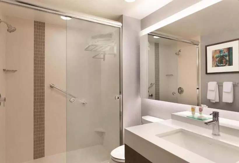 اتاق استاندارد با تخت بزرگ, Hyatt Place Buffalo / Amherst, Ny