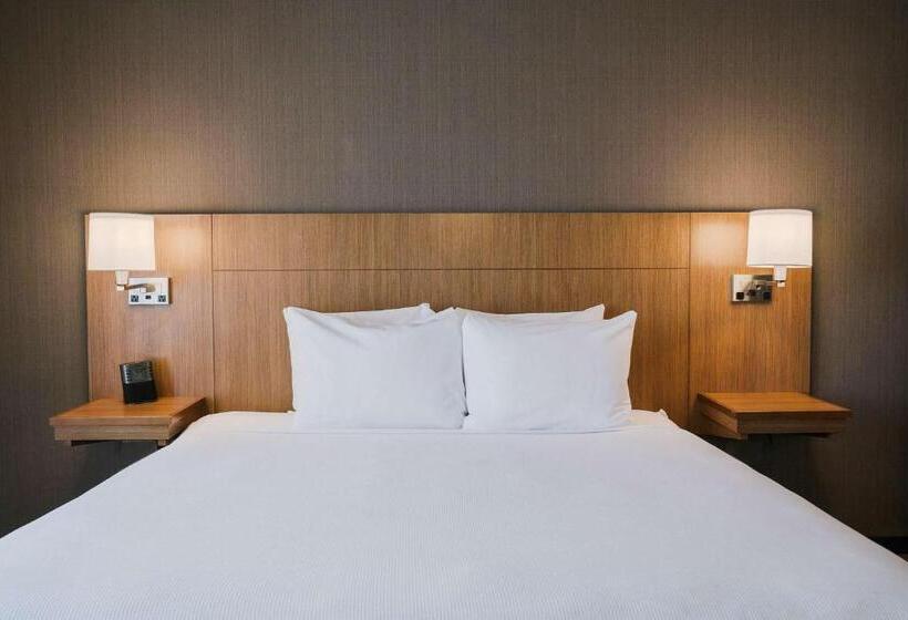 Стандартный Номер Кровать Кинг, Hyatt Place Buffalo / Amherst, Ny