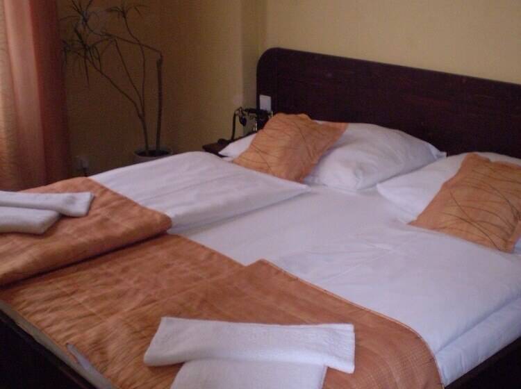 اتاق لوکس, U Stare Pani  At The Old Lady