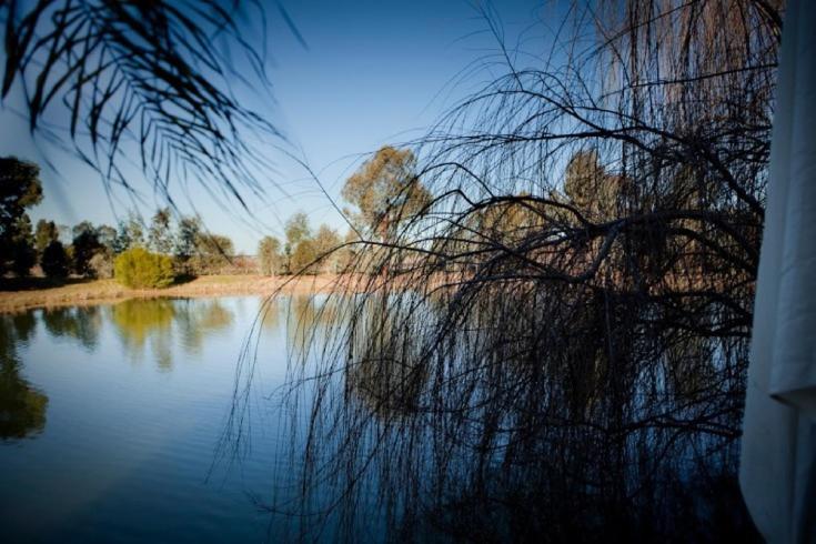 带1个卧室的别墅, Perricoota Vines Retreat