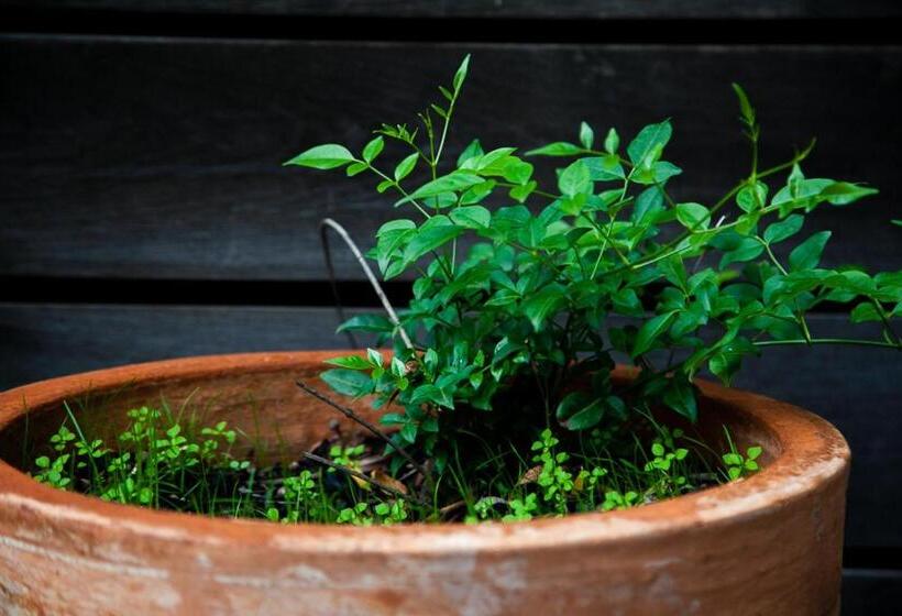 带1个卧室的别墅, Perricoota Vines Retreat