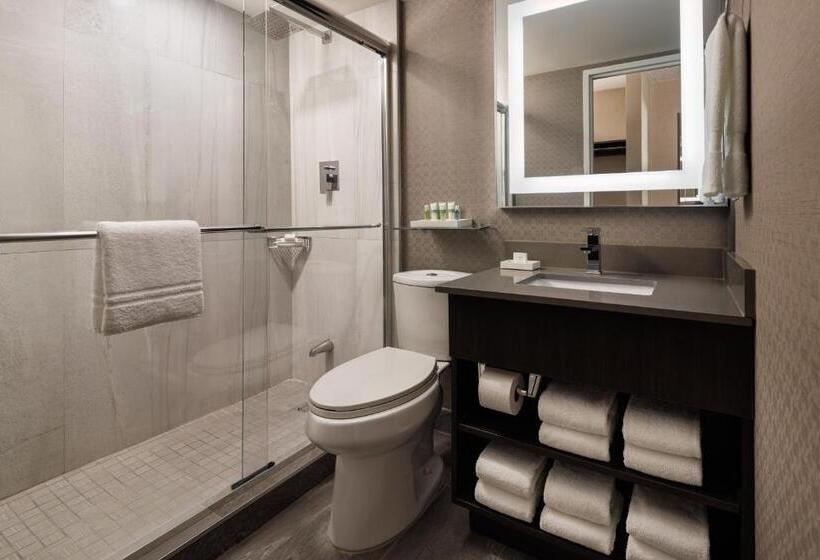 キングサイズベッドのスタンダードルーム, Pomeroy Hotel & Conference Centre