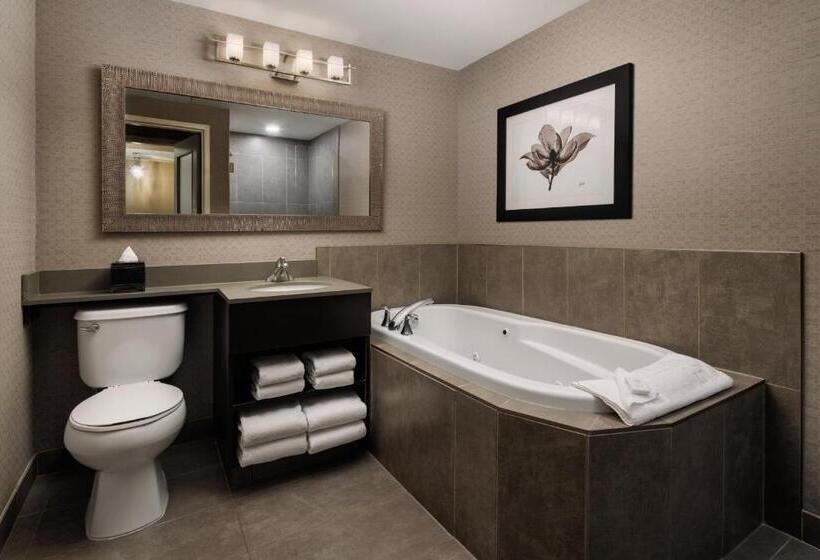 غرفة ديلوكس سرير كينج, Pomeroy Hotel & Conference Centre