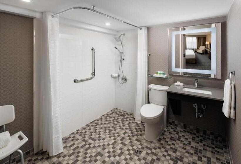 غرفة قياسية سرير كينج لذوى الإحتياجات الخاصة, Pomeroy Hotel & Conference Centre