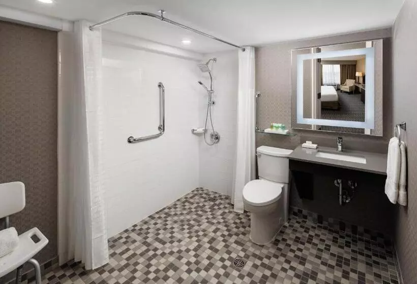 身障者適用キングサイズベッドルーム, Pomeroy Hotel & Conference Centre