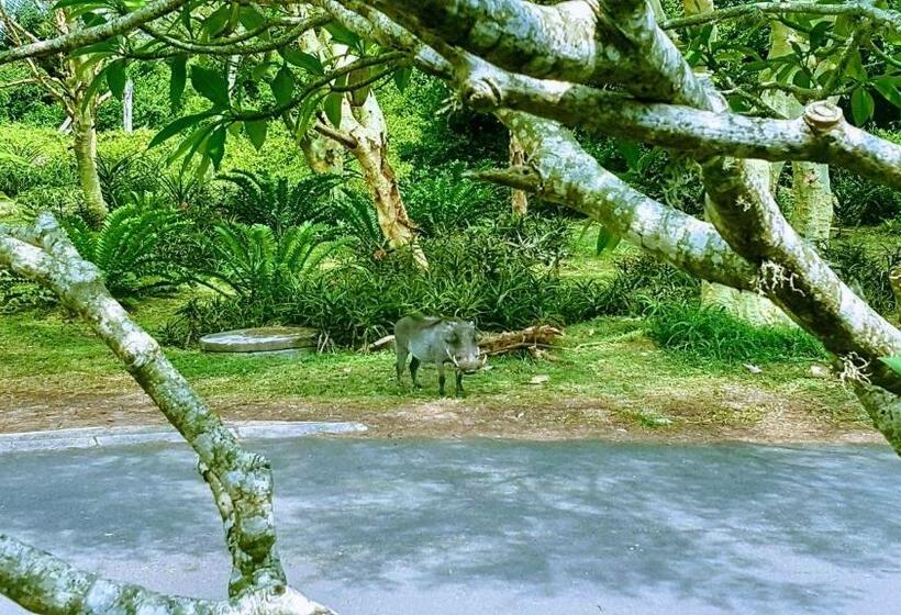 חדר סטנדרט מותאם לאדם עם מוגבלויות, Leopard Corner Lodge