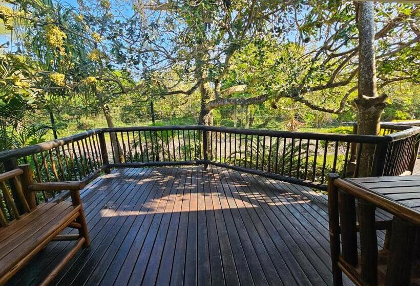 장애인을 위한 스탠다드 룸, Leopard Corner Lodge