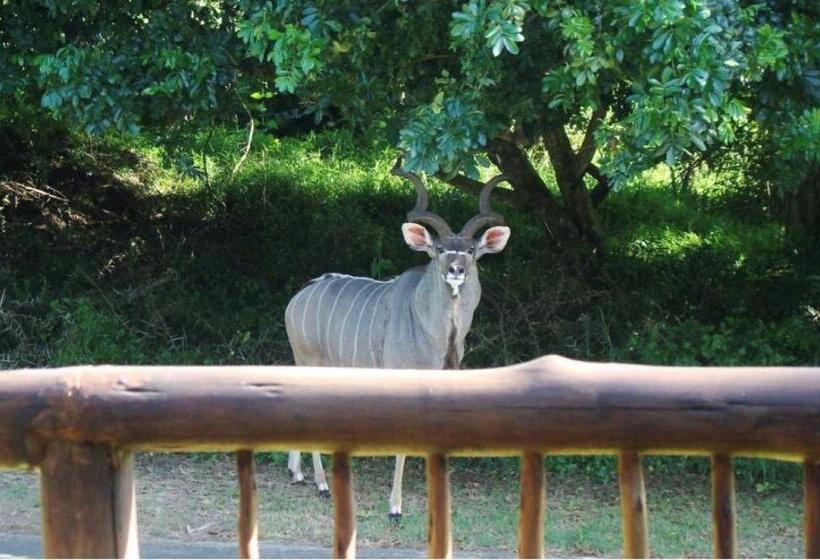חדר סטנדרט מותאם לאדם עם מוגבלויות, Leopard Corner Lodge
