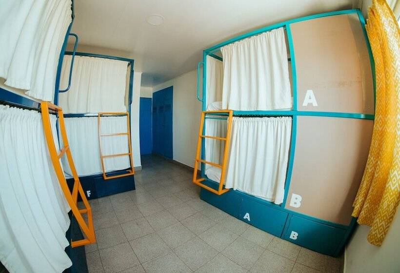 חדר סטנדרט, Viajero San Andres Hostel