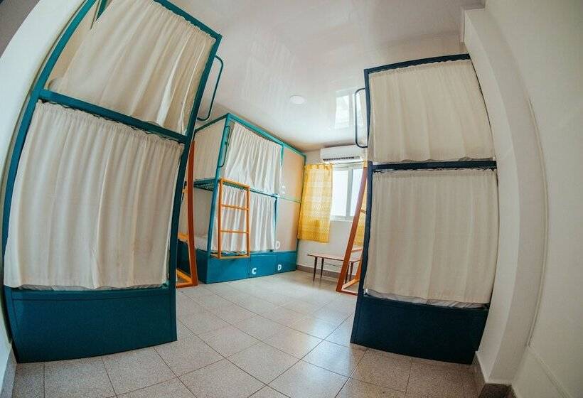 חדר סטנדרט, Viajero San Andres Hostel