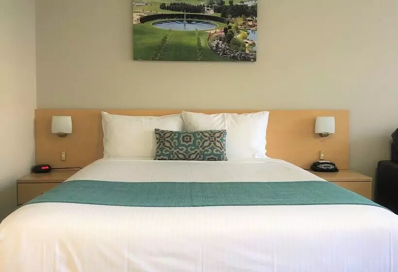 Quarto deluxe, Bathurst Motor Inn