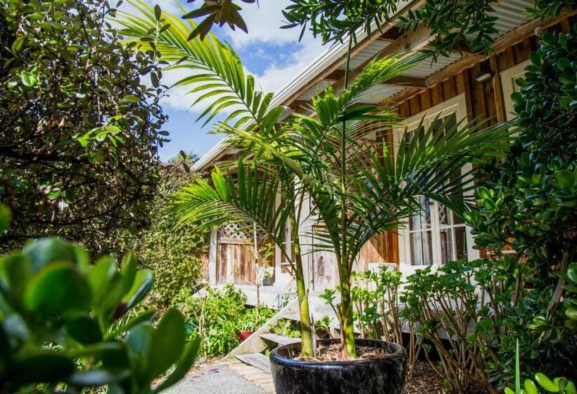 إستوديو قياسى مطلّ علي الحديقة, The Church Accommodation