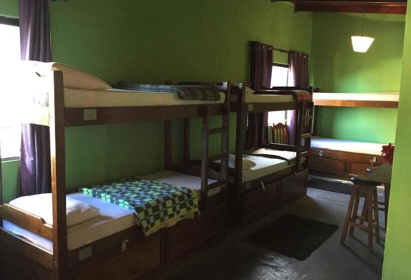 تختخواب در اتاق مشترک, El Viajero Asuncion Hostel & Suites